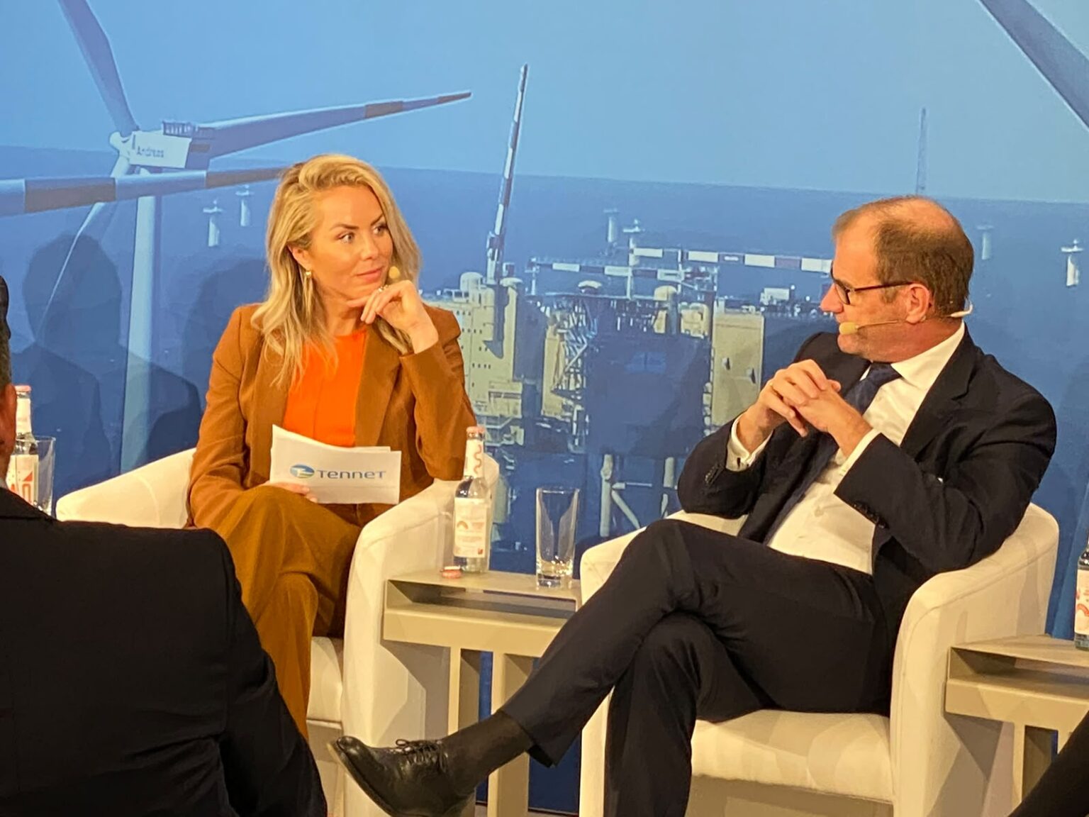 Dr. Ines Marbach im Fachgespräch vor einem Motiv mit Windkraftanlagen